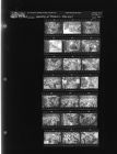 Opening of tobacco Market (21 Negatives) (August 22, 1963) [Sleeve 60, Folder c, Box 30]